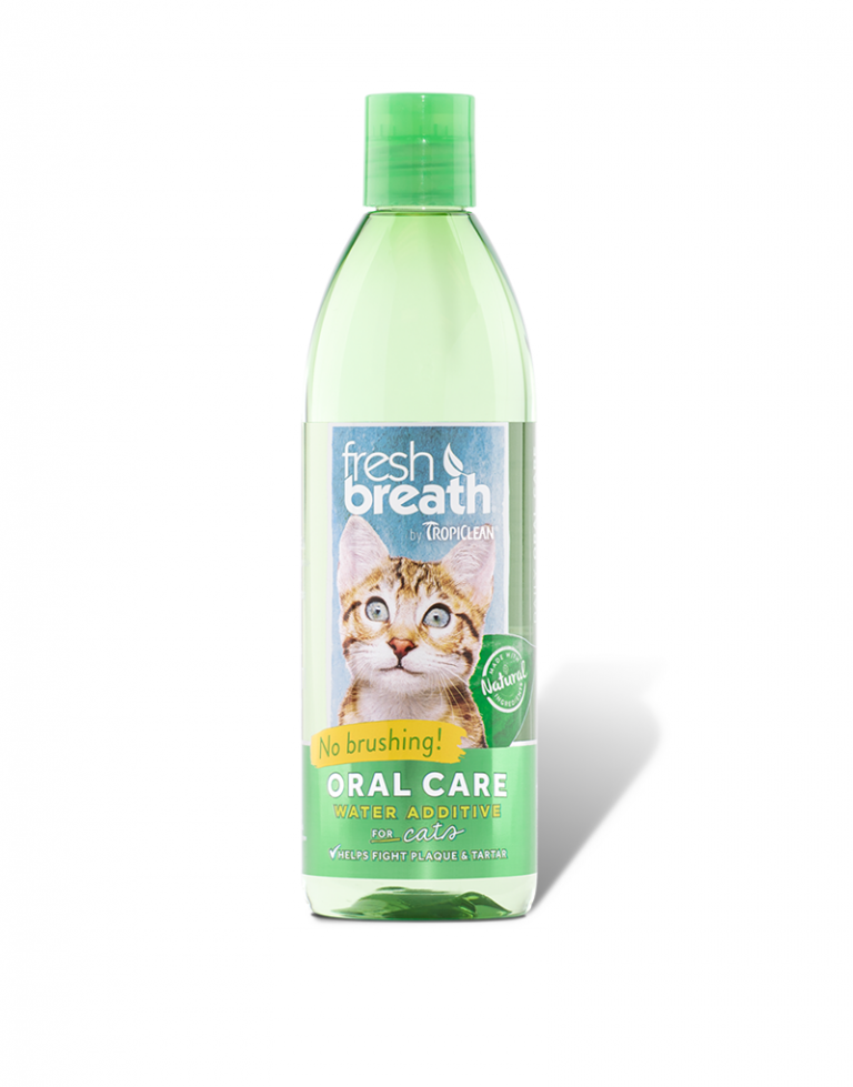Oral Care Water Additive for Cats Velocity International