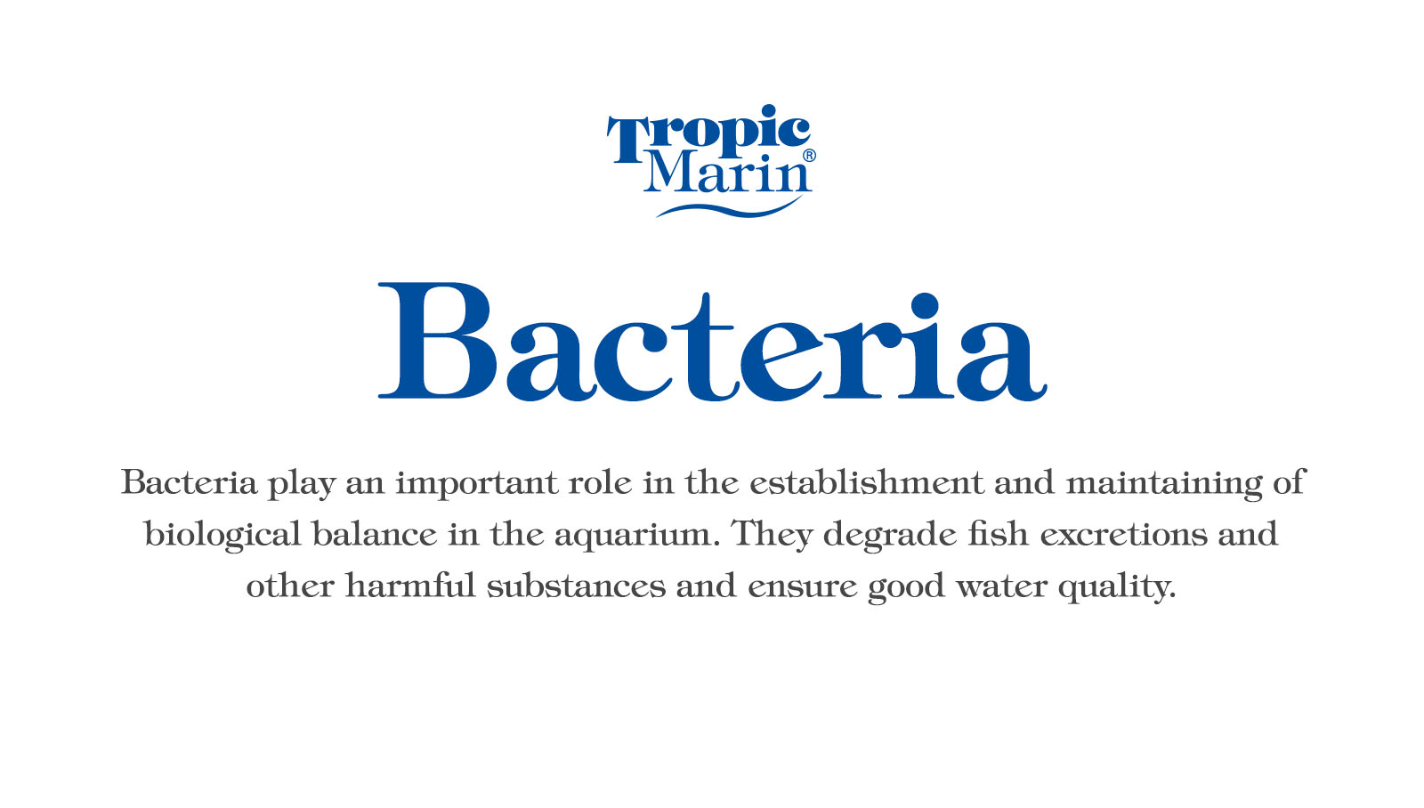Tropic Marin Bacteria