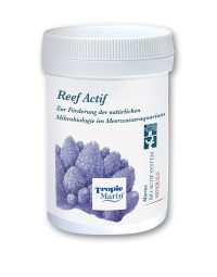 Reef_Actif