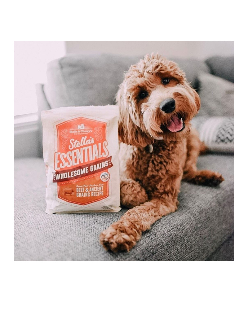 Stella & Chewys - Grass Fed Beed & Ancient Grains